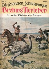 Romanheft | Die schönsten