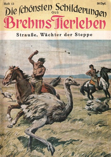 Romanheft die schönsten - die,
