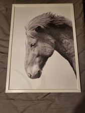 Ikea Pferdebild mit Rahmen