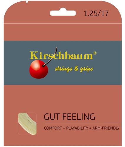 Kirschbaum saitenset gut - kirschbaum,