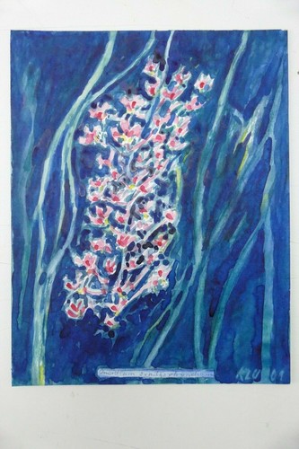 Wilhelm klußmann aquarell - klußmann,