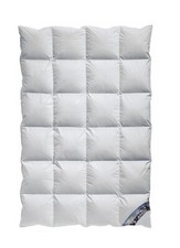 Arktic Kassetten Daunendecke