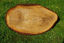 Baumscheibe Holzscheibe