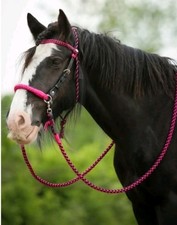 Barefoot AMBER Gebisslos 2in1