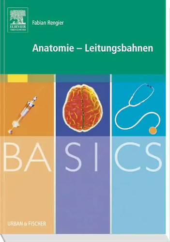 Basics anatomie - anatomie,