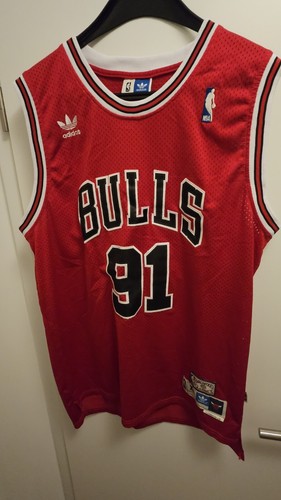 Chicago bulls basketball - chicago,