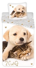 Golden Retriever Hund Katze