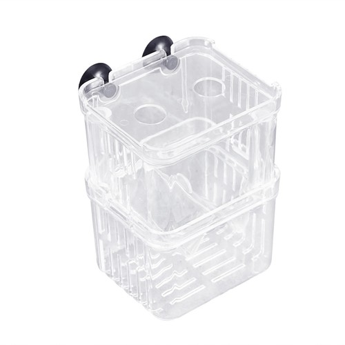 Aufzuchtbox aquarium - ,
