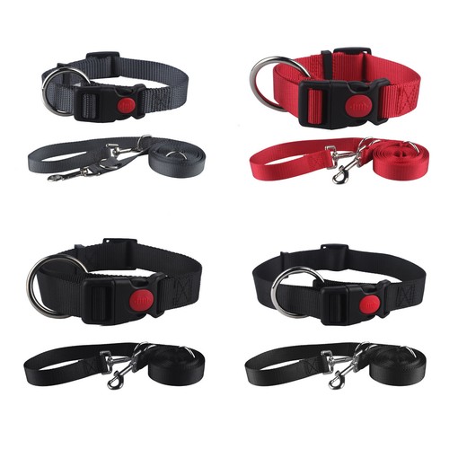 Hundeleine und halsband set - hundeleine,