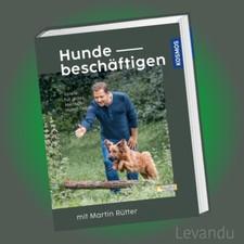 HUNDE BESCHÄFTIGEN MIT MARTIN