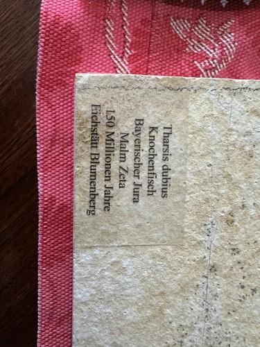 Fossilien farn fossil - fossilien,,