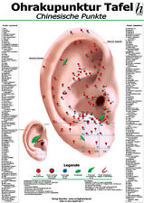 Ohrakupunktur Mini-Poster -