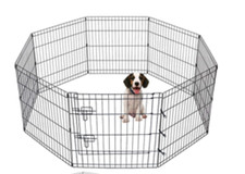 Freigehege YOUNGSTER XL