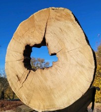 Baumscheibe Holzscheibe