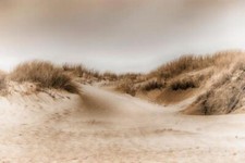 Wandbild sanddünen der - sanddünen,