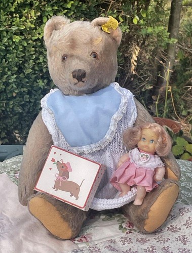 Alter steiff bär knopf - bÄr,, im
