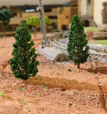 20 dunkelgrüne Tannen