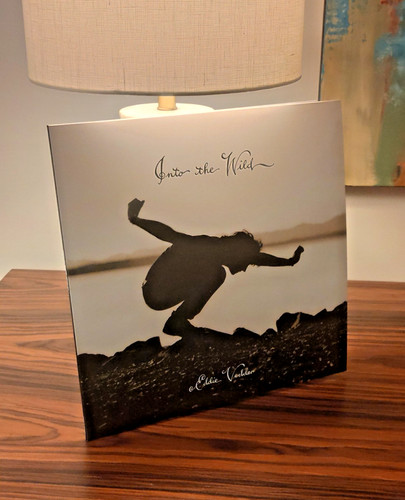 Eddie vedder into the wild - vedder,