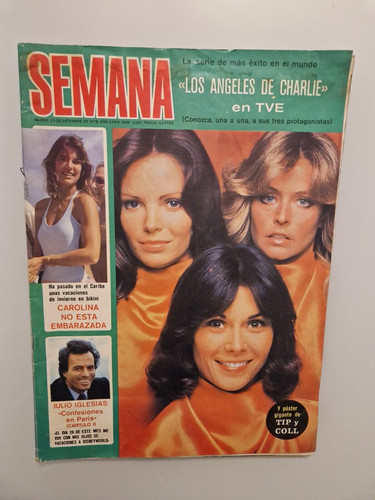 Farrah fawcett charlie - farrah,