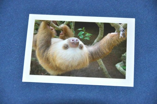 Rewe abenteuer tierwelt - rewe,