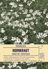 Cerasticum tomentosum