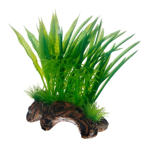 Hobby flora root 17 - flora, s