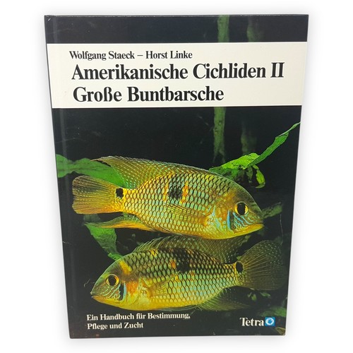 Amerikanische cichliden - amerikanische,