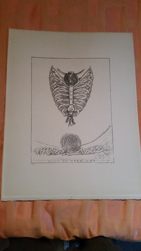 Max ernst litho handsigniert - max,
