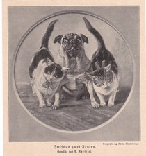 August  Roeseler " Zwischen zwei Feuern "  Kunst-Druck von 1911