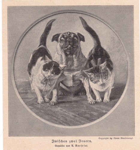August roeseler zwischen - august,
