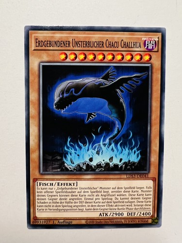 Karte erdgebundener - yu-gi-oh,