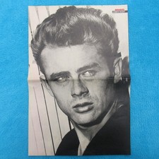 James Dean POSTER BRAVO 2