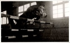 Foto Ak Pferd, Springreiten