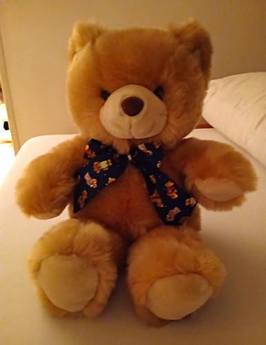 Top zustand teddybär - top, zustand: