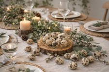 48 STK Wachteleier Natur