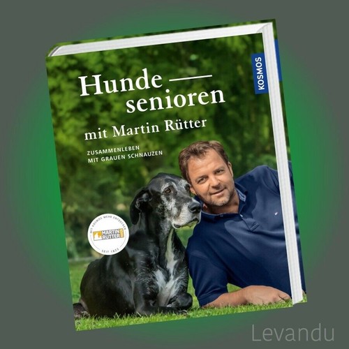 Hundesenioren mit martin - hundesenioren,