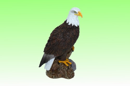 Poly weißkopfseeadler höhe - poly, 8