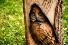 Holz Eule im Baumstamm Dekofigur Handarbeit Gartendeko Natur Herbst Geschenk