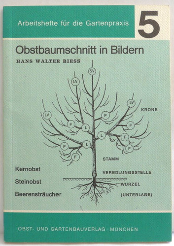 Obstbaumschnitt bildern - obstbaumschnitt,