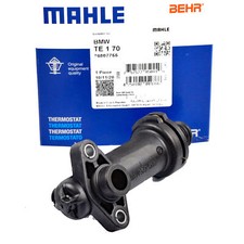 MAHLE ORIGINAL AGR Thermostat