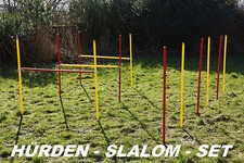 AGILITY - ÜBUNGS - HÜRDEN -