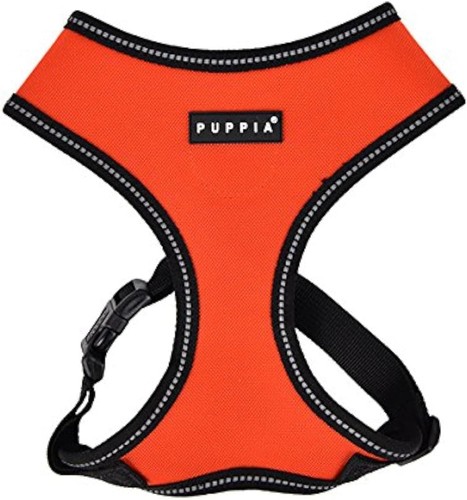 Puppia plra ha9323 - puppia, plra-ha9323