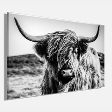 Wandbild HOCHLANDRIND 60x90 cm