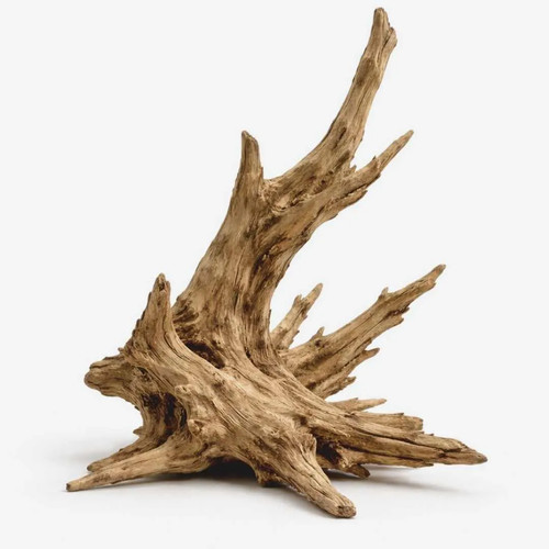 Corbo root naturholz für - naturholz,