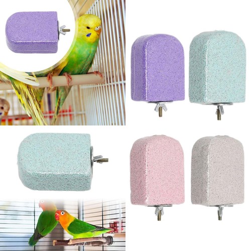 Papageienzähne mund - papageienzähne,