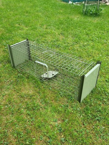 Tierfalle-Fuchsfalle-Waschbär