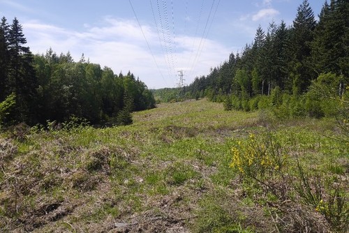 Foto 6x4 powerline fahrt - 6x4,
