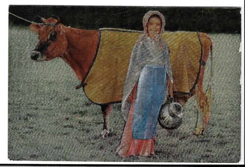 Trikot cow young milkmaid - &,