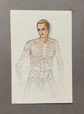Zeichnung, Anatomie, Skelett