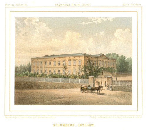 Schomberg orzegow krs - orzegow,